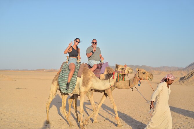 Quad Bike, Jeep, Camel, Sunset, Dinner and Stargazing in Hurghada - Dinner Included: What the Meal Actually Looks Like