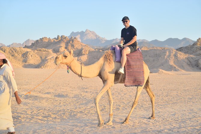 Quad Bike, Jeep, Camel, Sunset, Dinner and Stargazing in Hurghada - Price and Value: Is $55 a Good Deal in Hurghada?