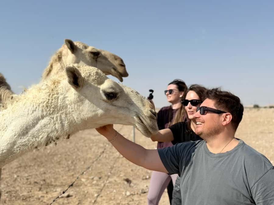 Riyadh: Edge Of The World, camels &Stargazing with 4x4 - Dinner and camp activities: a cozy ending, not a fancy restaurant