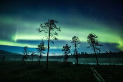 Rovaniemi: Horse Sleigh Ride under the Night Sky - Pickup Points in Rovaniemi: The Two Start Options That Matter