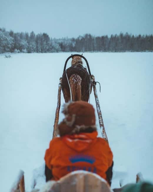 Rovaniemi: Horse Sleigh Ride under the Night Sky - Warmth, Clothing, and What’s Included in the $192 Price