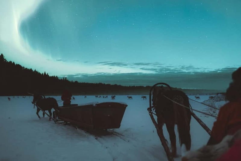 Rovaniemi: Horse Sleigh Ride under the Night Sky - FAQ