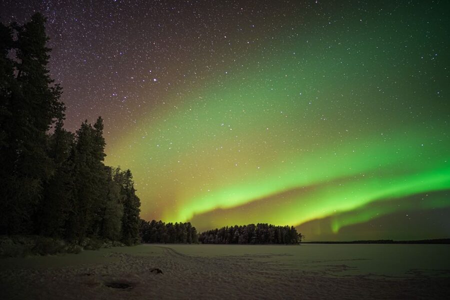 Rovaniemi: Night Sky lappish Barbecue - Finding the Viewing Spot: Firelight, Dark Sky, and a Guide in Control