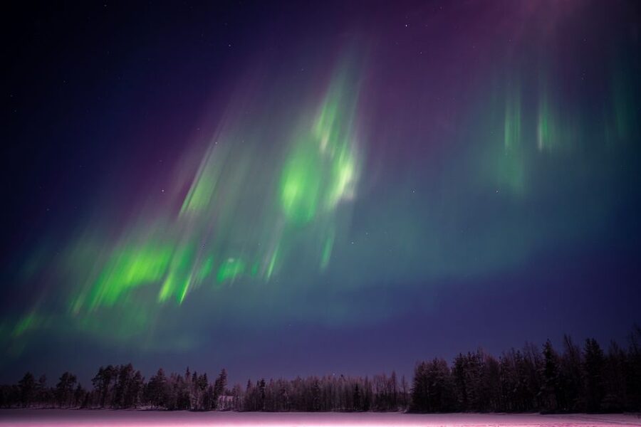 Rovaniemi: Night Sky lappish Barbecue - Group Size, Language Options, and How Smooth It Usually Feels