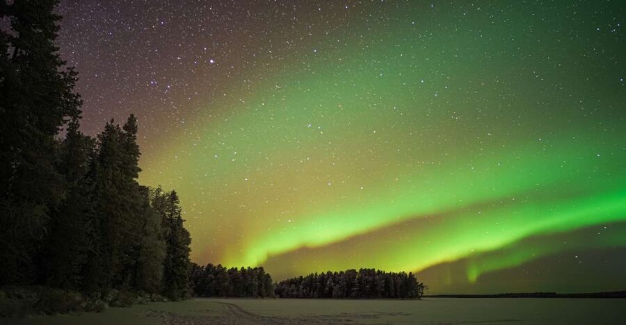 Rovaniemi: Night Sky lappish Barbecue - Price and Value: Is $117 Worth It for a Night Like This?