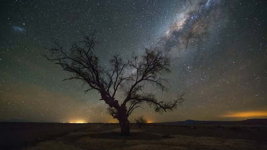 San Pedro de Atacama: Guided Atacama Desert Stargazing Tour - Telescope time: what to expect from the views
