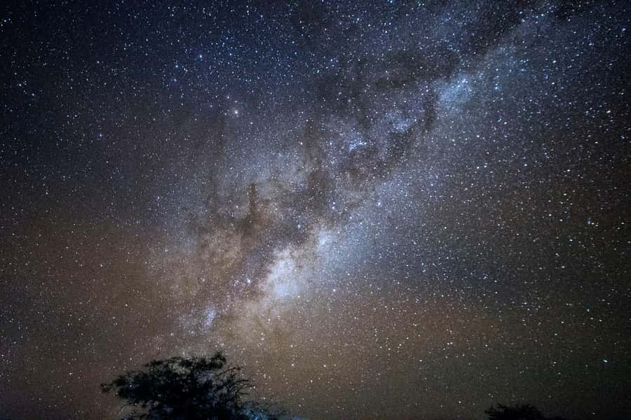 San Pedro de Atacama: Stargazing Experience - Key reasons this stargazing night works