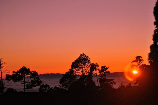 Self Drive Sunset & Stargazing in Teide National Park with Dinner - Dinner at Restaurante 7 Cañadas: what’s actually included