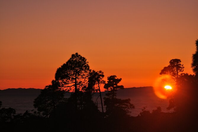 Self Drive Sunset & Stargazing in Teide National Park with Dinner - Who this Teide sunset-and-stars experience fits best