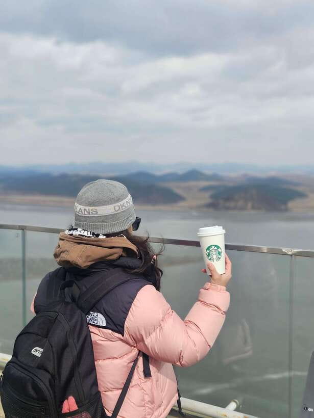Seoul: Closest DMZ Observatory with North Korea View (1.4km) - The human touch: guides who keep it respectful and clear