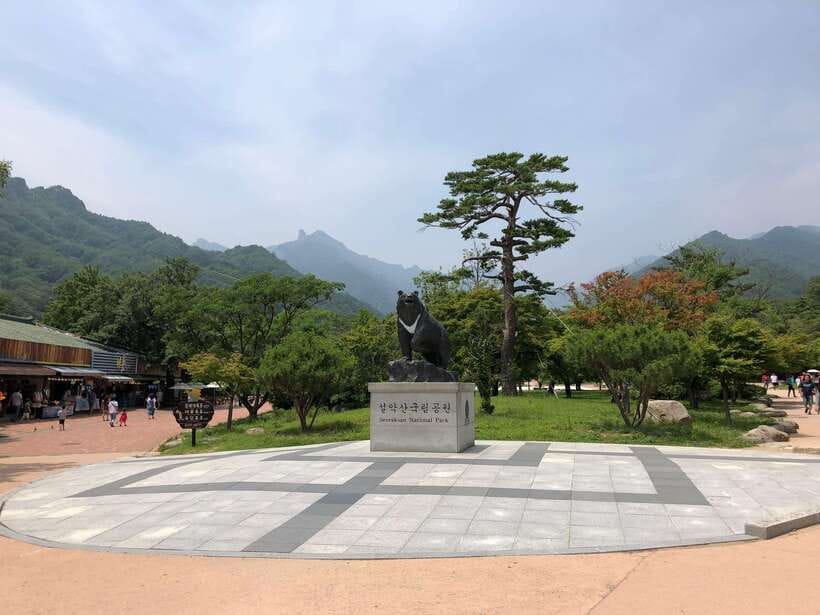 Seoul: Mt Seorak(Cable Car)+Sokcho Beach&Market+Observatory - Key Points to Know Before You Go
