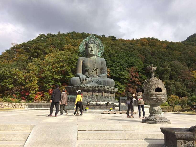 Seoul: Mt Seorak(Cable Car)+Sokcho Beach&Market+Observatory - Where You Meet and How the Day Flows From Seoul
