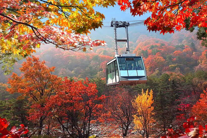 Seoul: Mt Seorak(Cable Car)+Sokcho Beach&Market+Observatory - Cable Car Optional: A Smart Shortcut When You Want the View