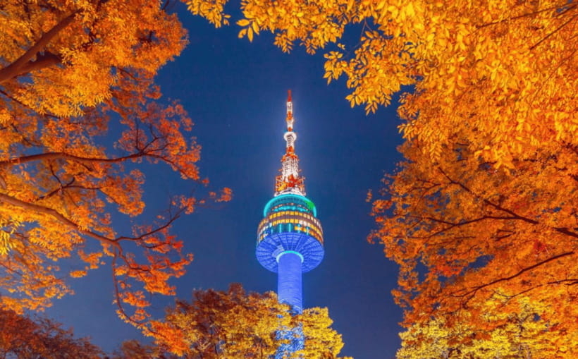 Seoul: N Seoul Tower Observatory Ticket - N Seoul Tower observatory: a 236.7-meter view with real city reach