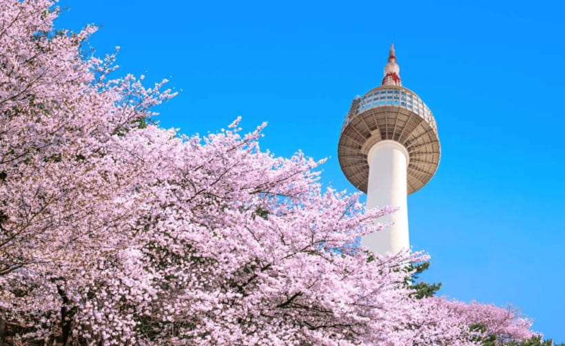 Seoul: N Seoul Tower Observatory Ticket - The 360-degree deck: what to look for, not just what to see