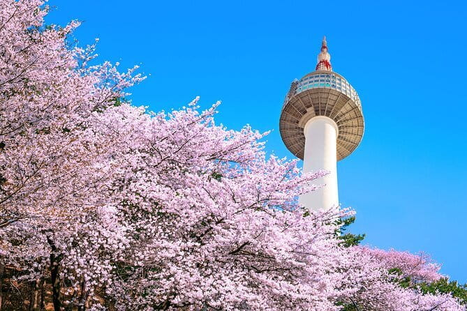 Seoul: N Tower Observatory Ticket - Love Locks and the Sky Restrooms for quick, memorable moments