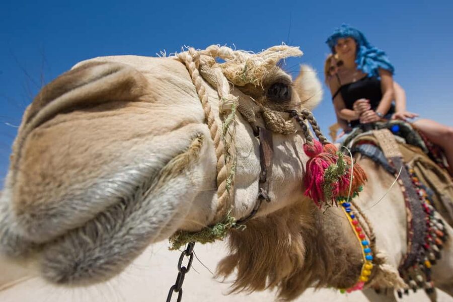 Sharm El-Sheikh: Camel Riding, Stargazing, BBQ Dinner & Show - The 4 PM hotel pickup and the Wadi-Khrome Valley drive