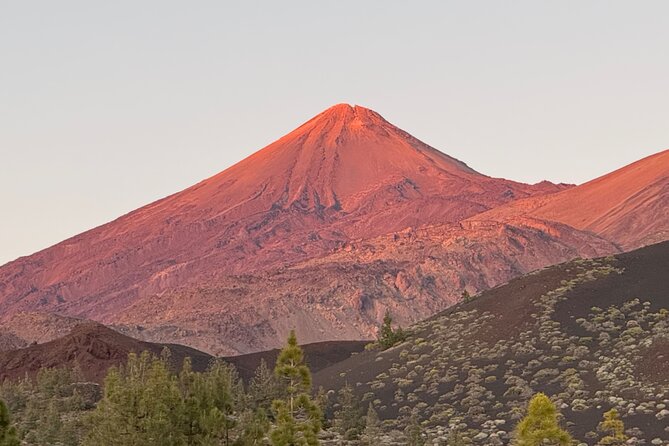Small Group Teide Stargazing Tour with Picnic at Sunset - Value check: what you actually get for your money