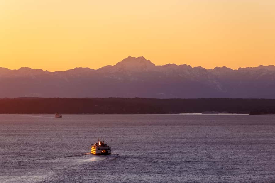 Smith Tower: Observatory Access Ticket - Should you book the Smith Tower Observatory access ticket?