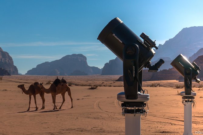 Stargazing Adventure in Jordan - Key things to know before you go
