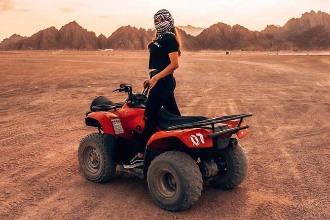Stargazing And ATV Quad Bike And Camel Ride And Dinner With Show - Camel Ride + Bedouin Tea: The Softer Side of the Desert