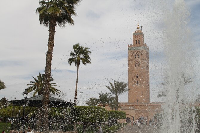 Stargazing and camel ride in the agafay desert - Pickup, meeting point, and the small-group feel