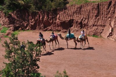 Stargazing and camel ride in the agafay desert - The 4:30 pm timing: why this tour works as an evening plan