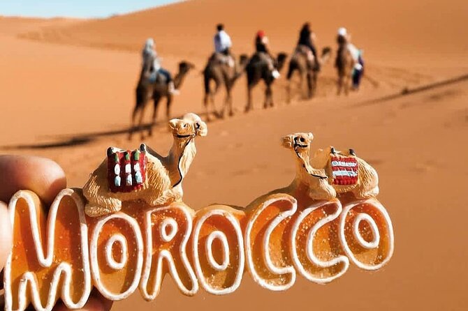Stargazing and camel ride in the agafay desert - The camel ride at sunset: what it feels like and what to expect