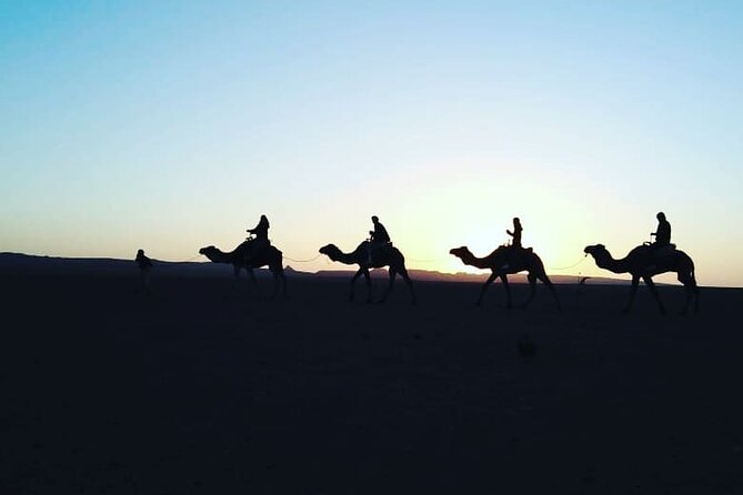 Stargazing and camel ride in the agafay desert - Tea in a Berber tent: the part people remember