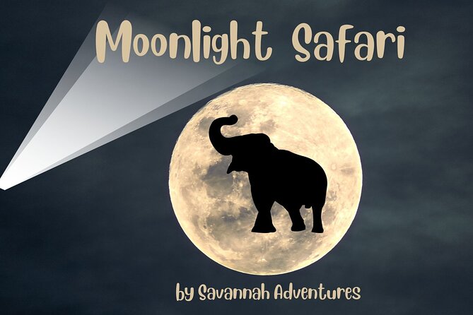 Stargazing and Moonlight Experience - Key things to know before you go