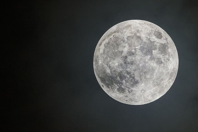 Stargazing and Moonlight Experience - Wildlife expectations: yes, you might spot animals, but don’t book the wrong dream