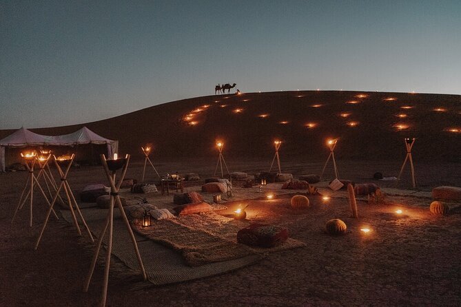 Stargazing Desert Jeep Excursion with Dinner in Hurghada - Logistics that matter: pickup, duration, and group size