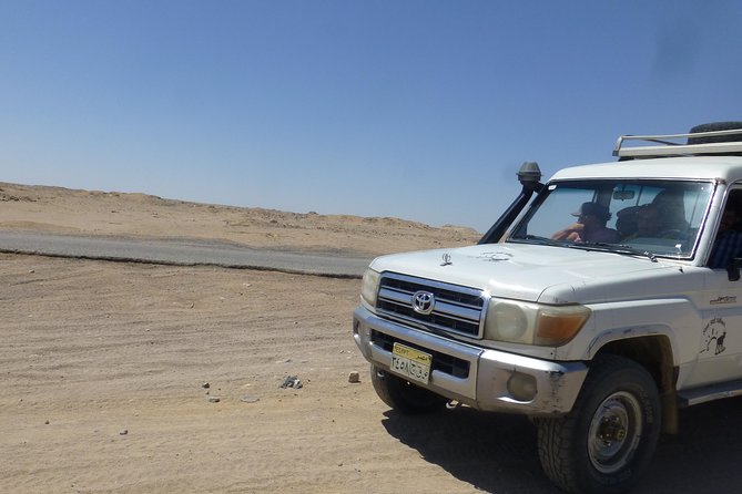 Stargazing Excursion In Hurghada with Jeep 4WD and BBQ - Camel Ride Time: 20 Minutes of Desert Flavor
