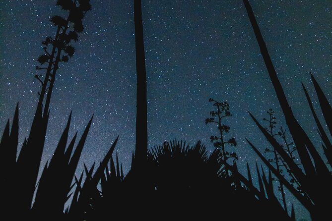 Stargazing Night in the Tabernas Desert - The main event in the Desierto de Tabernas: telescopes and real instruction