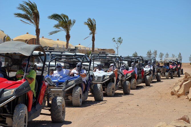 Stargazing Safari Adventure by Jeep with Bedouin Dinner-Hurghada - Key Highlights I’d Prioritize