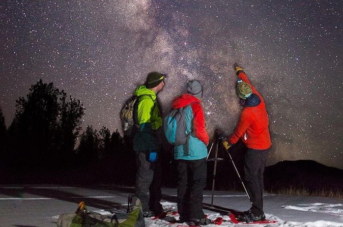 Stargazing Tour - Kananaskis After Dark - The open meadow star pause: where the sky actually comes into focus