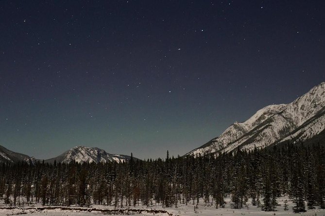 Stargazing Tour - Kananaskis After Dark - Moonlit forest hiking: snowshoe conditions and pacing you should expect