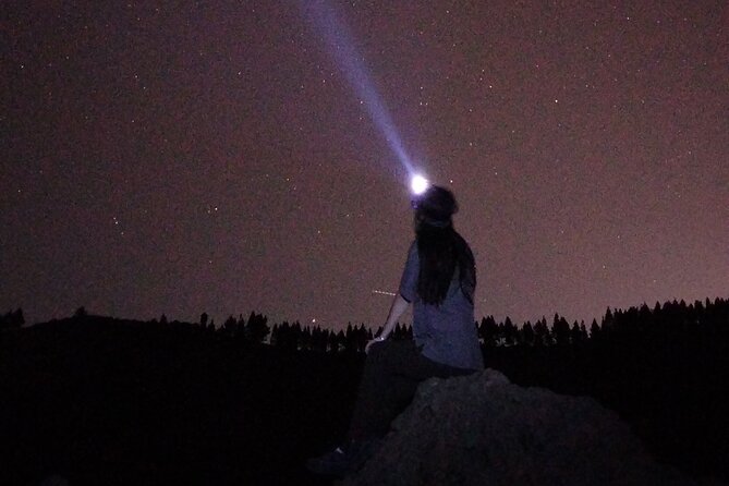 Sunset Hike and Stargazing Experience in Roque Nublo Mountains - Hiking across the forest before the famous viewpoint