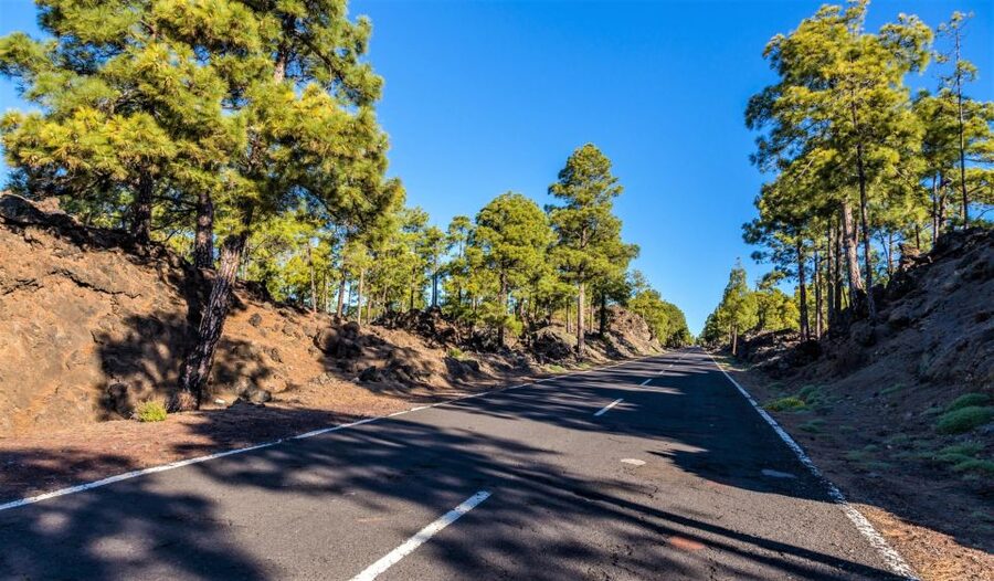 Teide: Guided Sunset & Stargazing Tour by Night with Dinner - Who This Tour Fits Best (and Who Should Skip It)