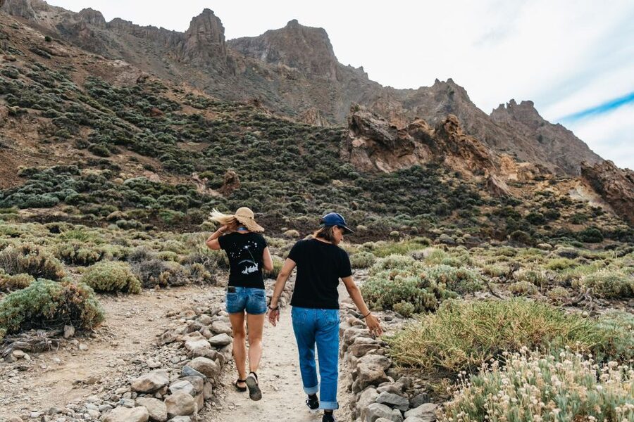 Teide: Guided Sunset & Stargazing Tour by Night with Dinner - Price and Value: Is $105 Worth It?