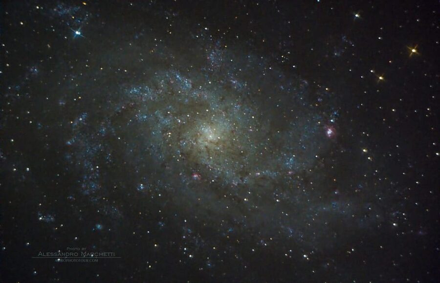 Teide National Park: Guided Large Telescope Stargazing Tour - The guide experience: Alessandro’s storytelling style and the Q and A time