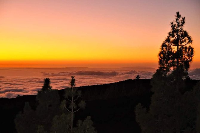 Teide National Park Sunset & Stargazing with Dinner (Star Safari) - What you’ll see (and why telescope time can feel short)