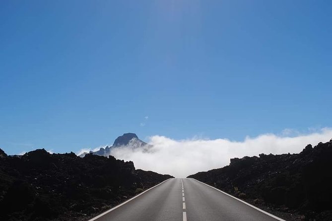 TEIDE NIGHT Astronomy Stargazing Bus Tour, Meal & Drinks included! - Price and Value: Is $114.15 a Good Deal?