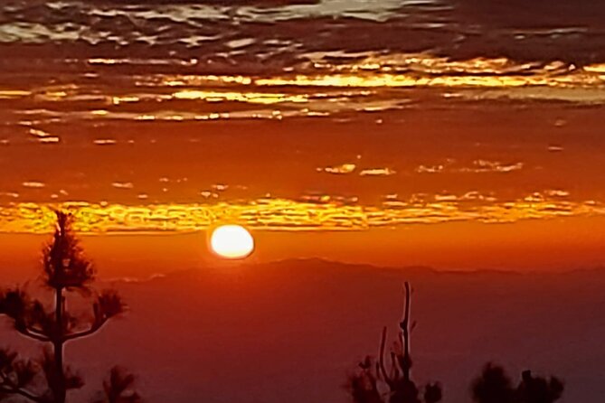 TEIDE NIGHT, Stargazing Bus Tour, Meal & Drinks included! - Inside Teide at night: lasers, constellations, and telescopes
