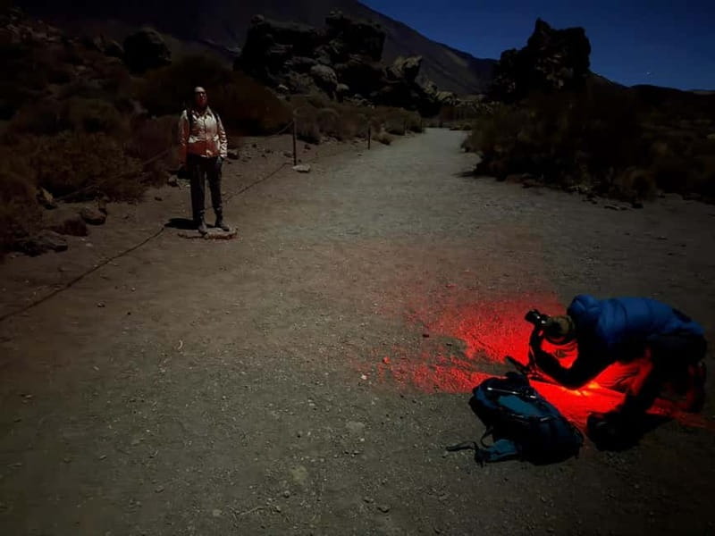 Tenerife: Stargazing Walk in Teide National Park - Where the magic starts: Parador de Cañadas del Teide
