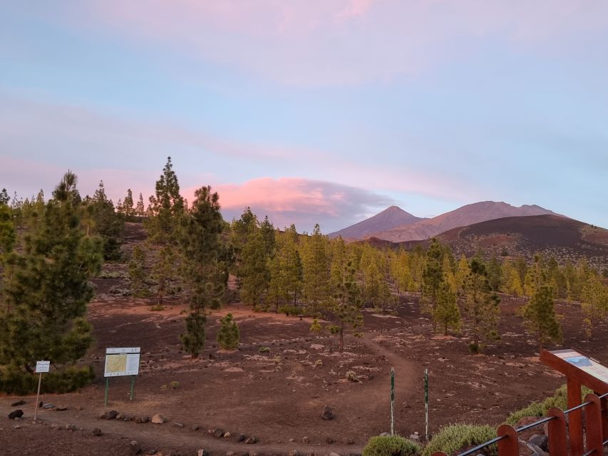 Tenerife: Sunset and Stargazing at Teide National Park - Weather Reality Check: How the Tour Adapts