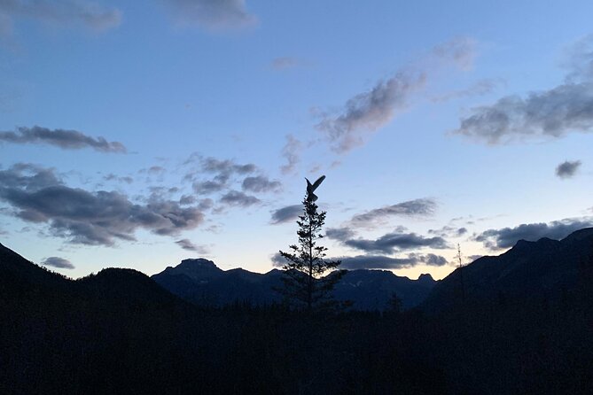 The Banff Stargazing Tour - 2hr Walking Tour - Meeting at Cave and Basin: parking, timing, and first gear checks