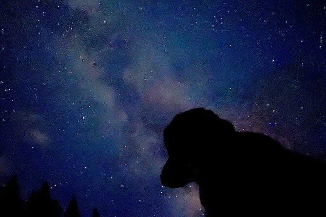 The Banff Stargazing Tour - 2hr Walking Tour - The guide factor: why names keep coming up