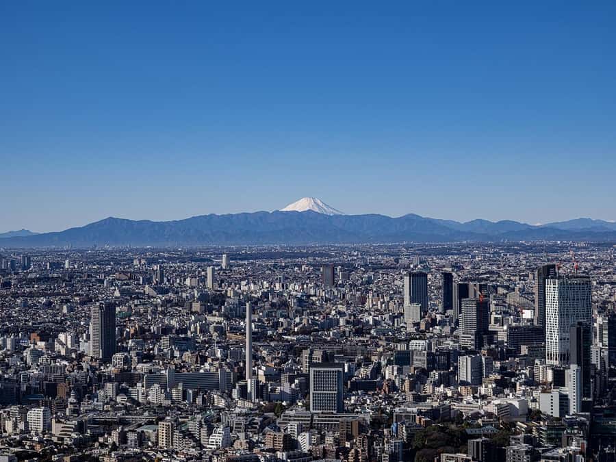 Tokyo: Roppongi Hills Observatory Ticket - Should you book the Roppongi Hills Observatory ticket?