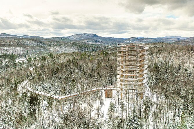 Treetop Observatory and Walk - Key Points Before You Go